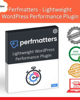 Perfmatters Premium – Lightweight WordPress Performance Plugin