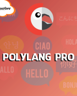 Polylang Pro – Master Multilingual WordPress