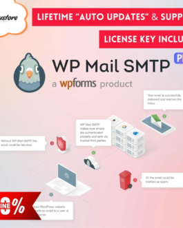 WP Mail SMTP Pro – Streamlined Email Delivery Solutions