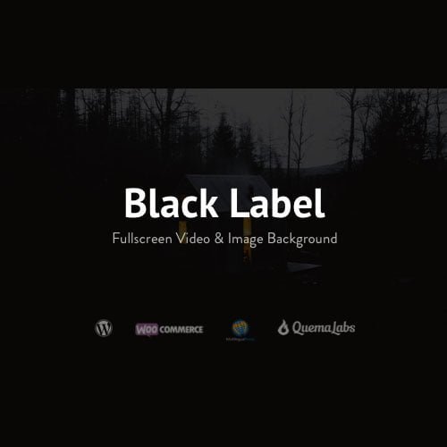 Black-Label-Fullscreen-Video-Image-Background.jpg