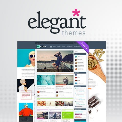 Elegant-Themes-Extra-WordPress-Theme.jpg