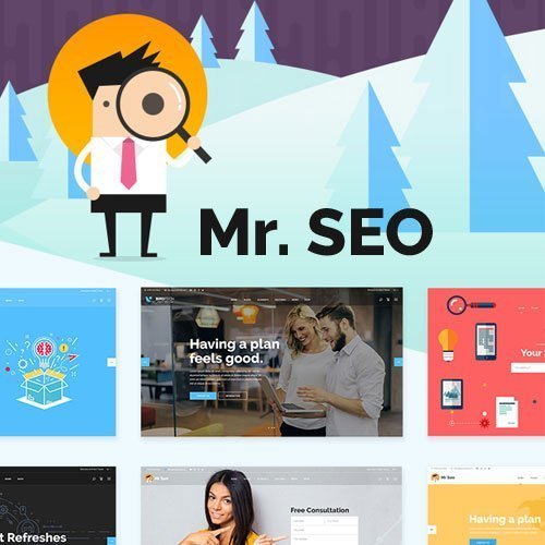 Mr-SEO-SEO-Marketing-Agency-and-Social-Media-Theme.jpg