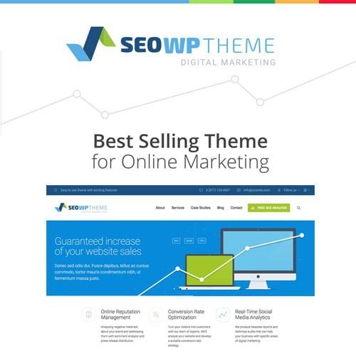 SEO-WP-Digital-Marketing-Agency-Social-Media-Company-Theme.jpg