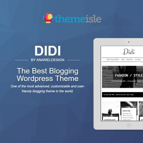 ThemeIsle-Didi-WordPress-Theme.jpg