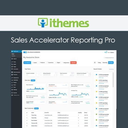 iThemes-Sales-Accelerator-Reporting-Pro.jpg