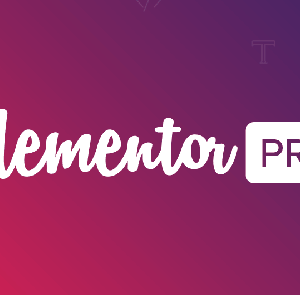 Elementor Pro v3.13.2 – The Most Advanced Website Builder Plugin