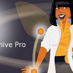 Beehive Pro v3.4.6 – WordPress Plugin