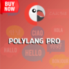 Polylang Pro – Master Multilingual WordPress
